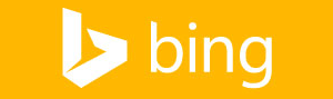 See Our Reviews on Bing