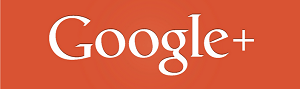 Google Plus review icon linking to Anubis SceneClean customer feedback
