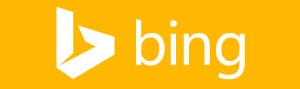 Bing review icon linking to Anubis SceneClean customer feedback