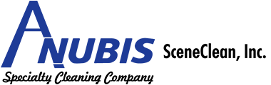 Anubis SceneClean logo